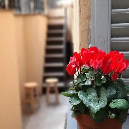 Apartment Experience Genoa-traditional In Castelletto